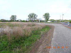 DSCN3544.JPG