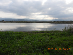 DSCN3553.JPG