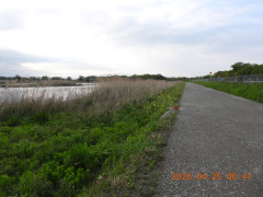 DSCN3554.JPG