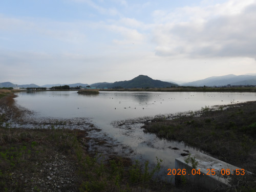 DSCN3556.JPG