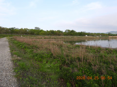 DSCN3557.JPG