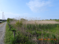 DSCN3561.JPG