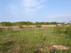 DSCN3562.JPG
