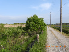 DSCN3563.JPG