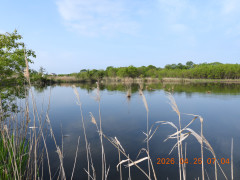 DSCN3564.JPG