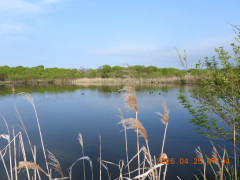 DSCN3565.JPG