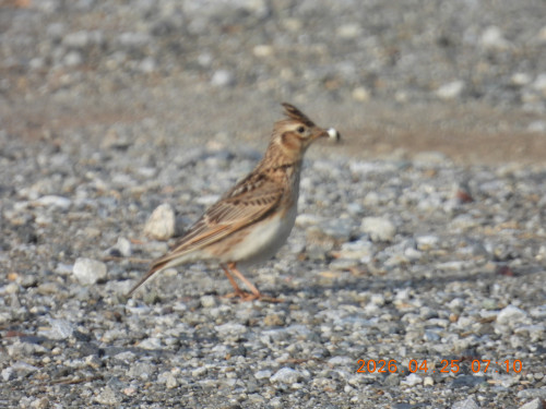 DSCN3566.JPG