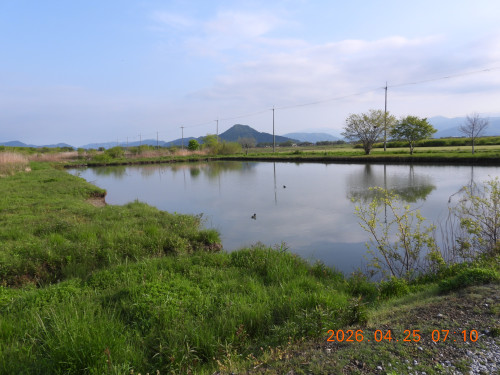 DSCN3567.JPG