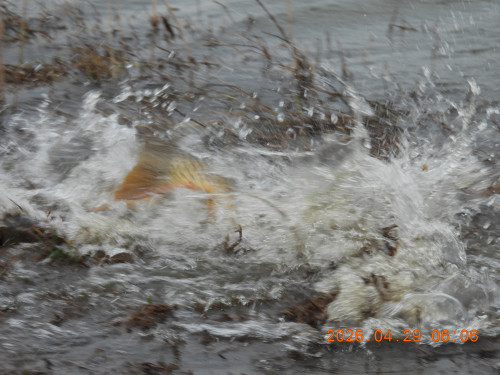 DSCN3585.JPG