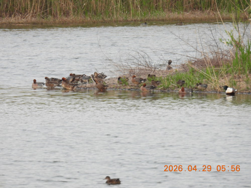 DSCN3571.JPG