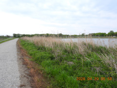 DSCN3572.JPG
