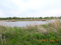 DSCN3573.JPG