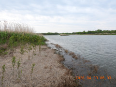 DSCN3577.JPG
