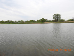 DSCN3578.JPG