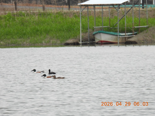 DSCN3580.JPG