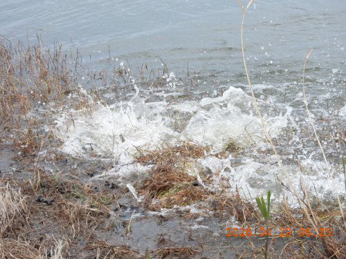 DSCN3606.JPG