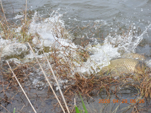 DSCN3620.JPG
