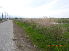 DSCN3634.JPG