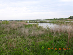 DSCN3635.JPG