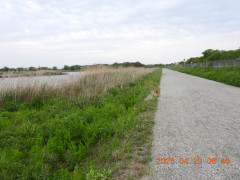 DSCN3640.JPG
