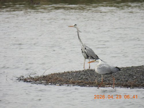 DSCN3641.JPG
