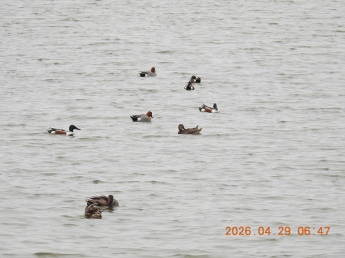DSCN3644.JPG