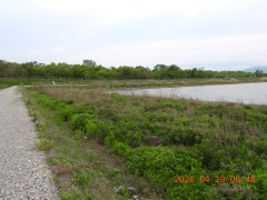 DSCN3647.JPG