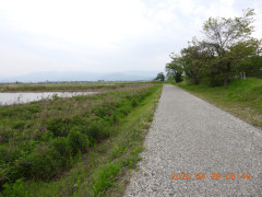 DSCN3650.JPG