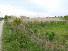 DSCN3656.JPG