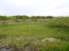 DSCN3657.JPG