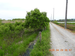 DSCN3658.JPG