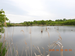 DSCN3662.JPG