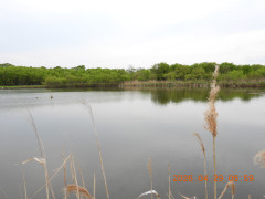 DSCN3663.JPG
