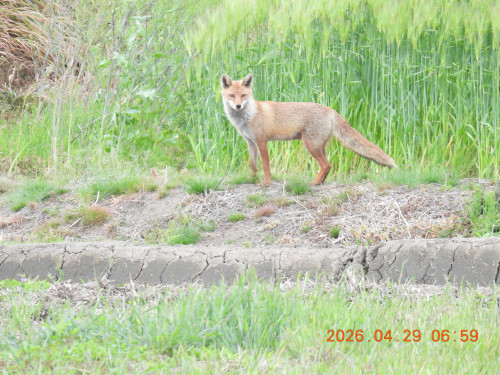 DSCN3660.JPG