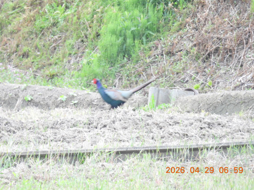DSCN3661.JPG
