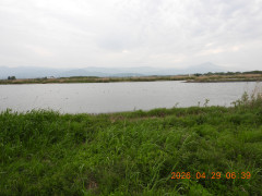 DSCN3639.JPG