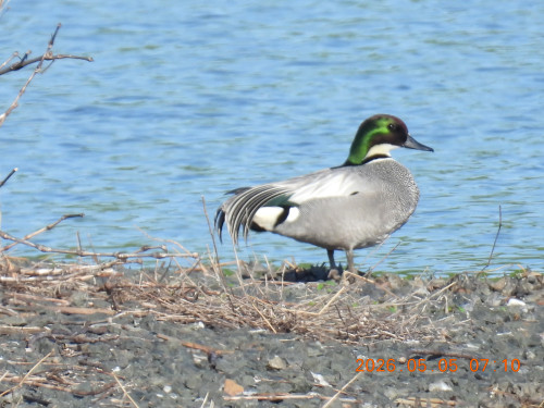 DSCN3751.JPG