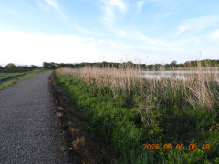 DSCN3686.JPG