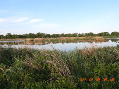 DSCN3687.JPG