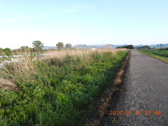 DSCN3688.JPG
