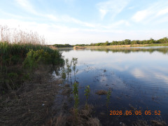 DSCN3689.JPG