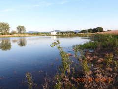 DSCN3691.JPG