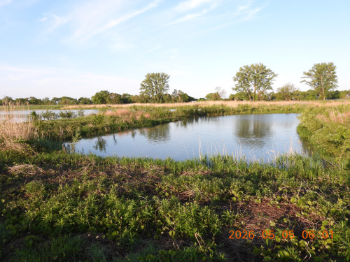 DSCN3699.JPG