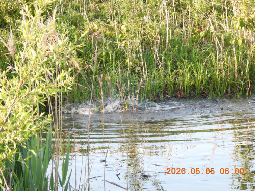 DSCN3698.JPG