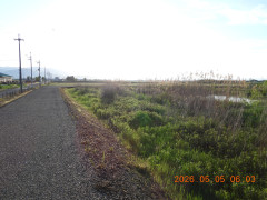 DSCN3700.JPG