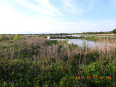 DSCN3701.JPG