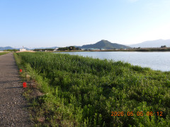 DSCN3705.JPG