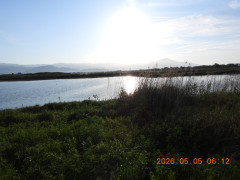 DSCN3706.JPG