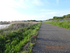 DSCN3707.JPG