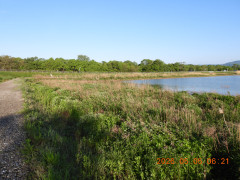 DSCN3713.JPG